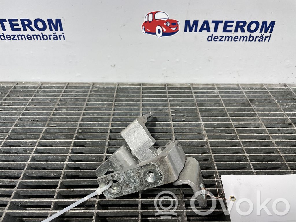 Ford Focus Aizmugurējā pārsega eņģe (-ess) 