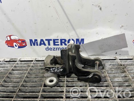 Renault Captur Set di cerniere portiera anteriore