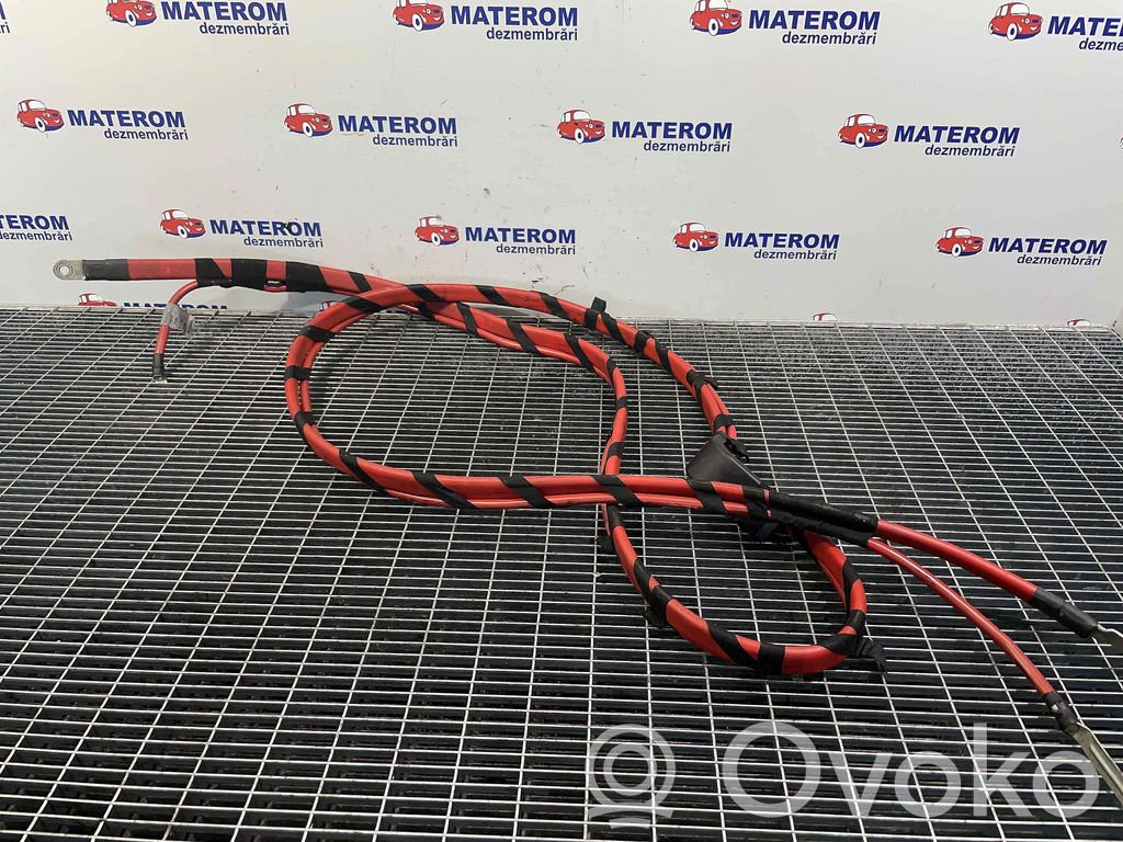 Positive cable (battery)   6904876