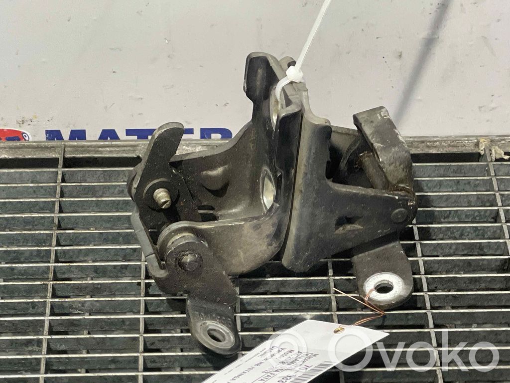 Opel Insignia A Engine bonnet/hood hinges 