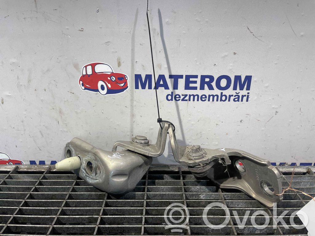 Ford B-MAX Engine bonnet/hood hinges 