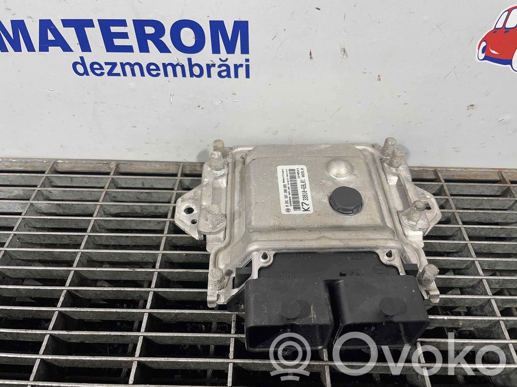 Engine control unit/module   3391069L01