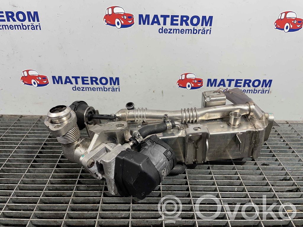 BMW X5 E70 Separatore dello sfiato dell’olio