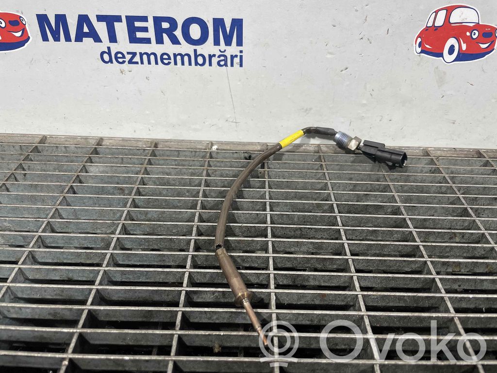 Sonda lambda   226404039R