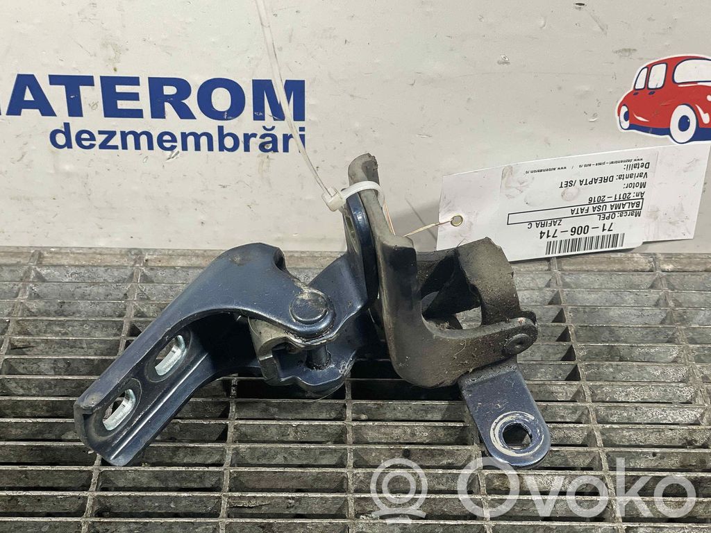 BMW 1 F20 F21 Set di cerniere portiera anteriore