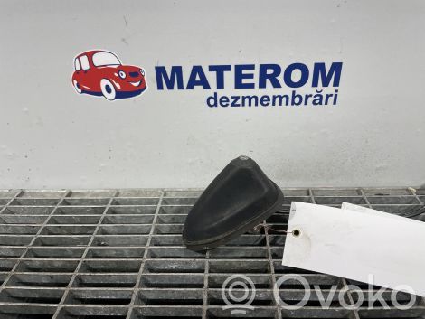 Ford Focus Radion antenni