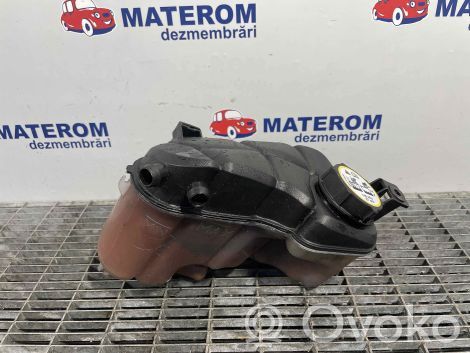 Ford Galaxy Vas expansiune/rezervor lichid de răcire