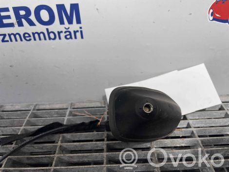 Ford Focus Antena radiowa 