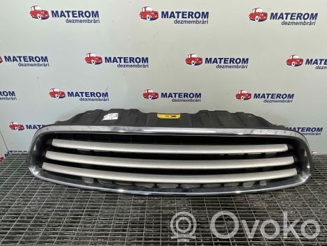 Mini Cooper Countryman R60 Grotelės viršutinės