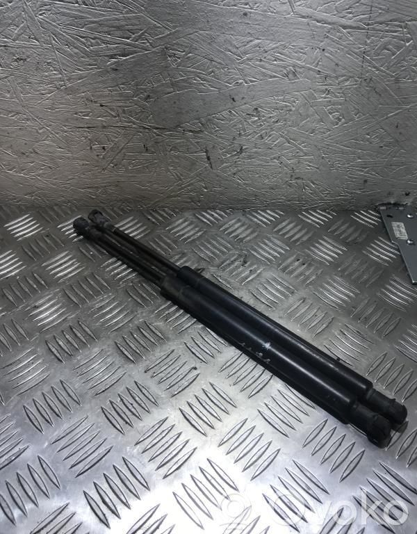 Tailgate/trunk strut/damper   51248254281