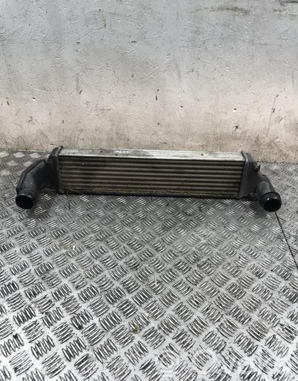 Intercooler radiator   17512246795