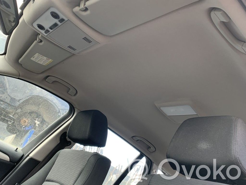BMW X1 E84 Asidero interior trasero 