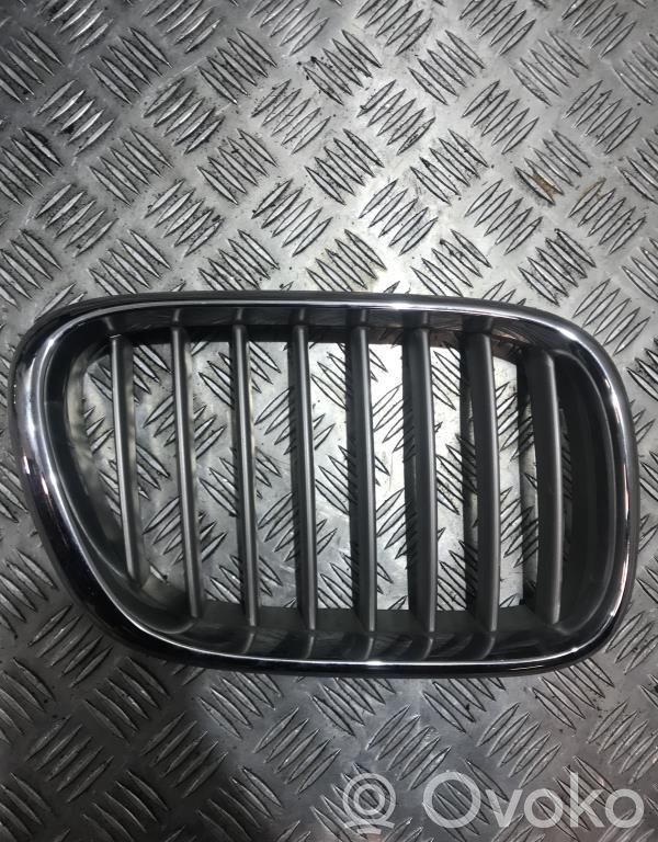 BMW X5 E53 Etupuskurin ylempi jäähdytinsäleikkö 