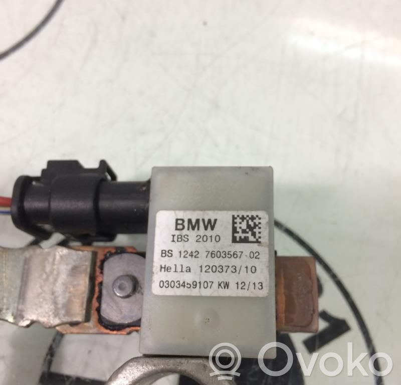Mini Paceman (R61) Car battery 