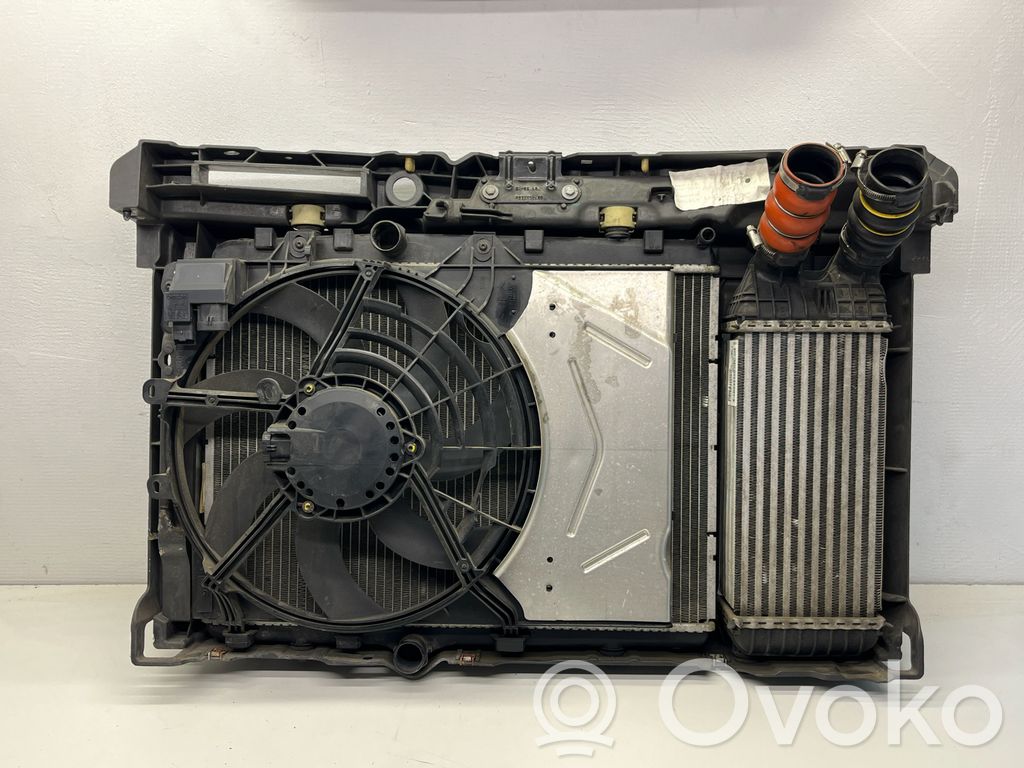 Peugeot 208 I Panou suport radiator 