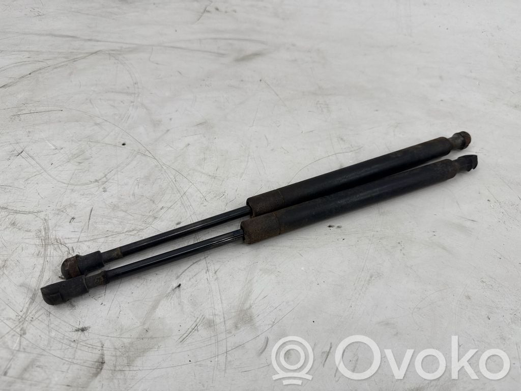Tailgate/trunk strut/damper   8254281