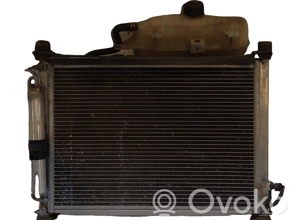 Renault Clio III Jäähdyttimen lauhdutin 