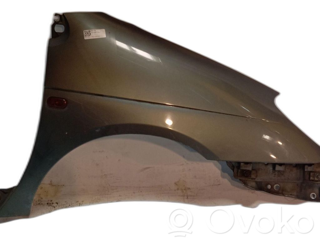 Renault Scenic I Guardabarro 