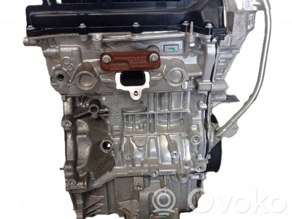 Variklis   H4DB450,100011358R,06042019