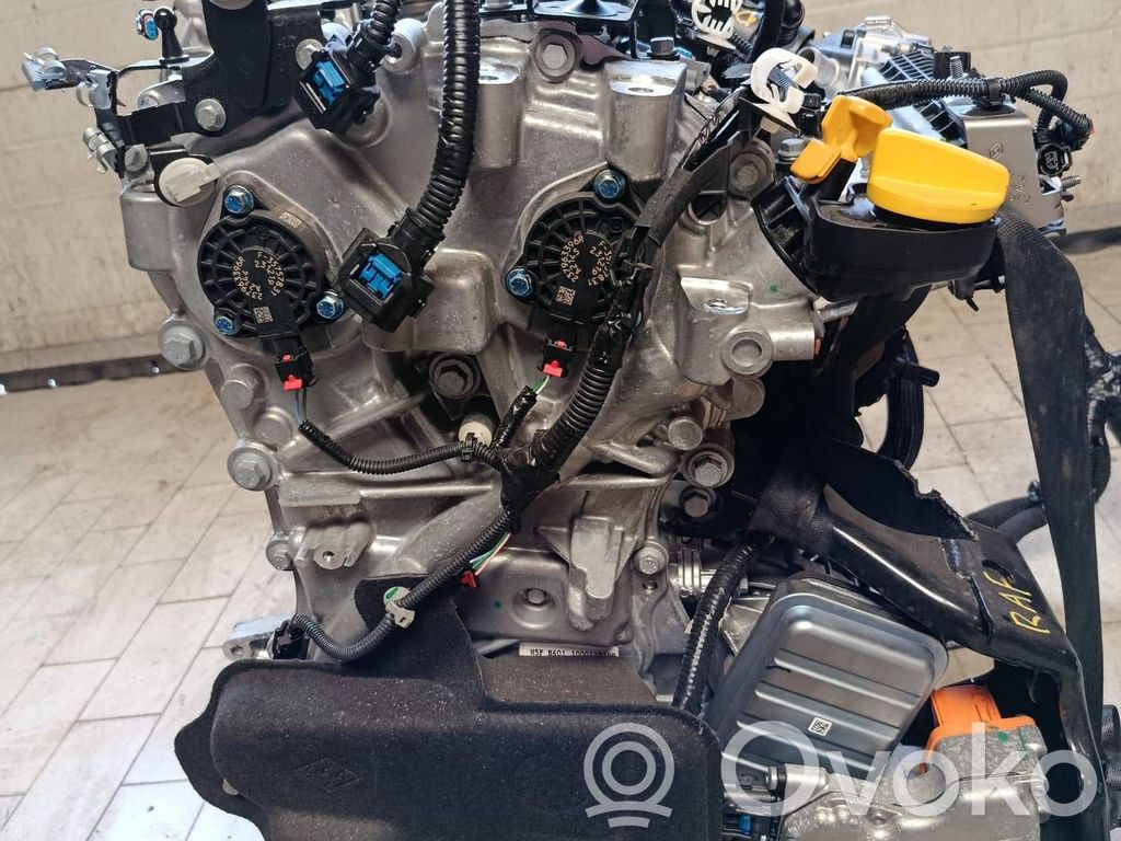 Dzinējs   H5FB601,100011239R,D088708