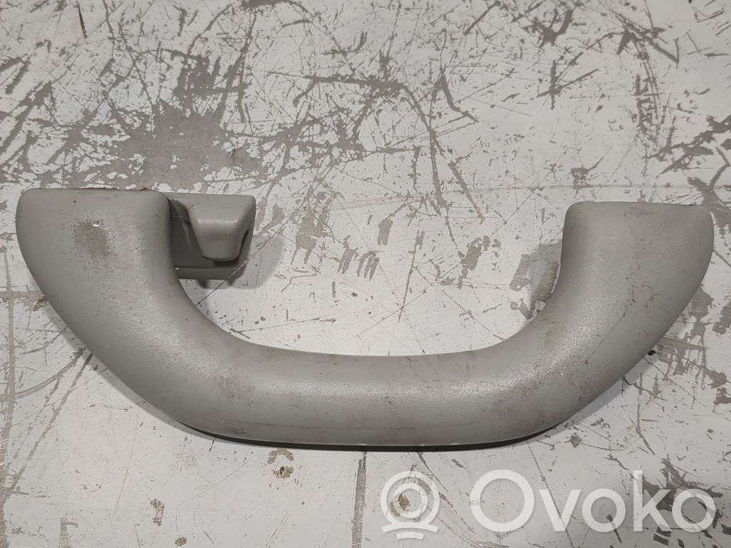 Asidero interior delantero