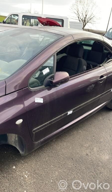 Peugeot 307 Puerta delantera 