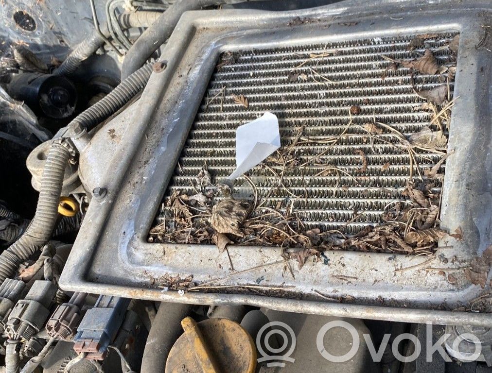 Nissan Terrano Interkūlerio radiatorius 