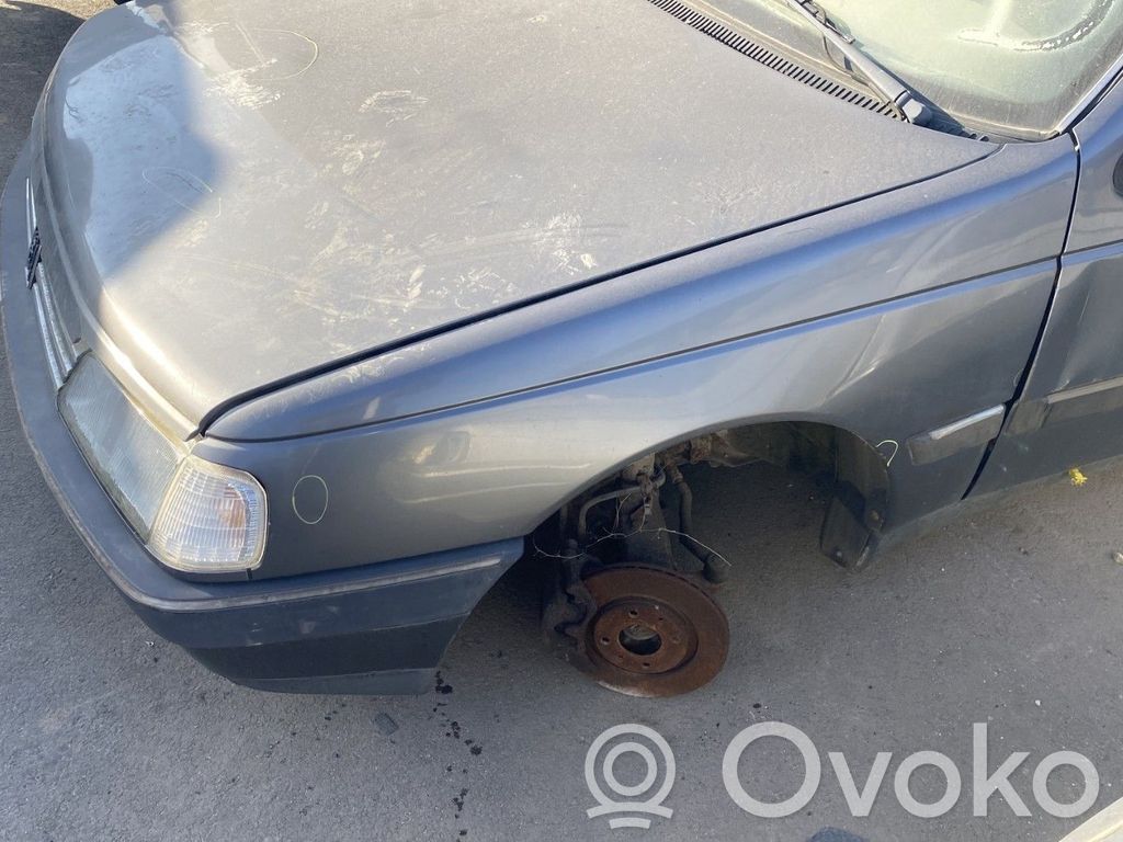 Peugeot 405 Sparnas 