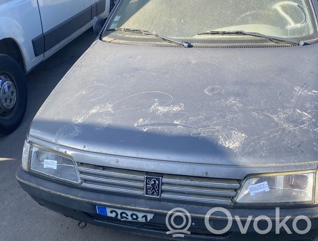 Peugeot 405 Konepelti 
