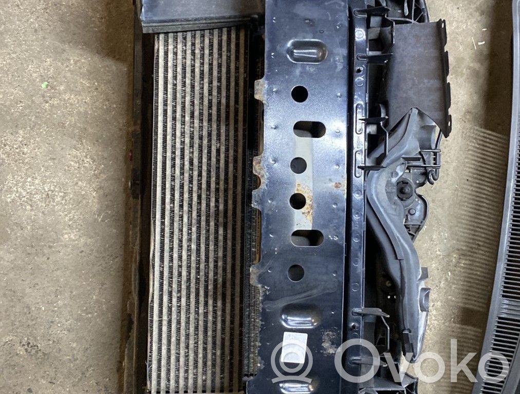Radiatoru panelis   1508632