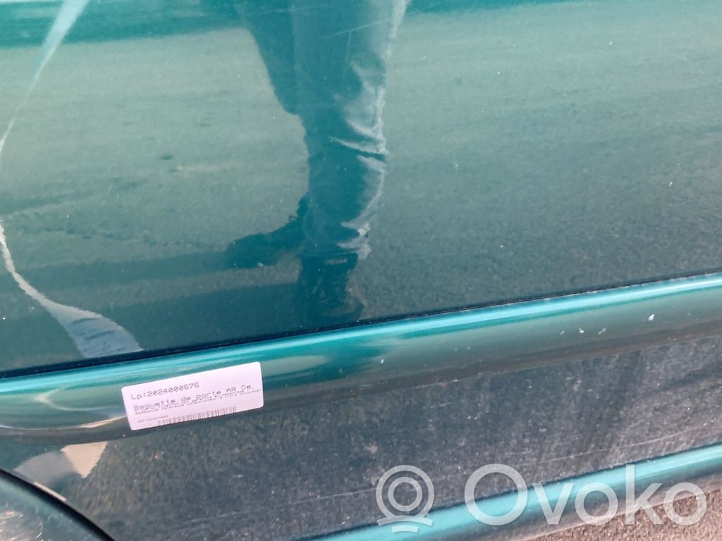 Citroen C3 Mască ușă spate (turnată) 