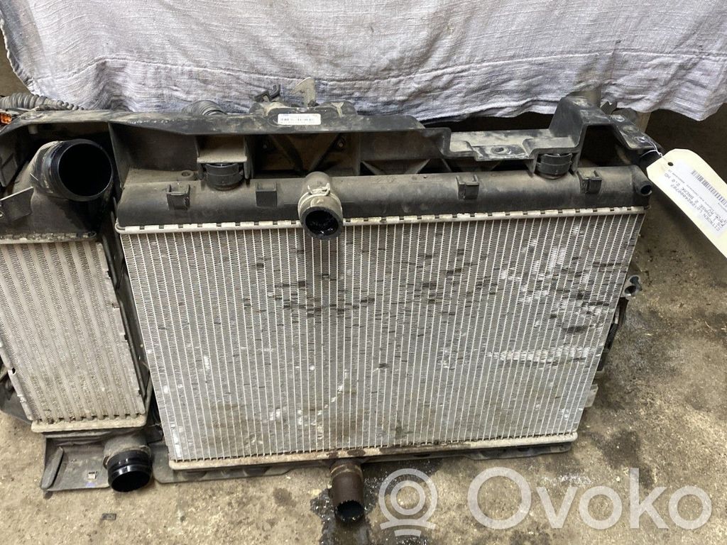 Citroen C5 Pannello di supporto del radiatore 