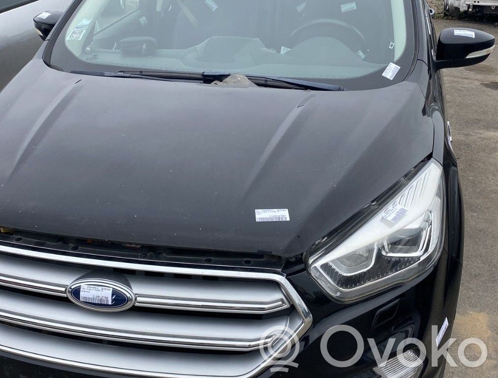 Ford Kuga II Degalų bakas 