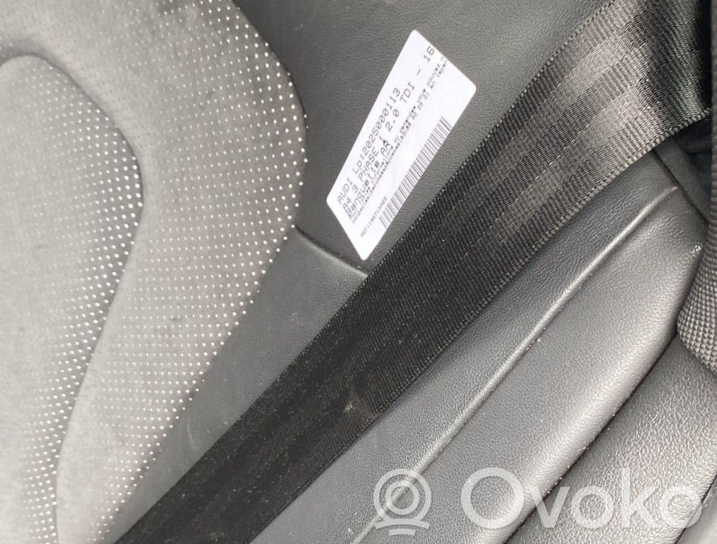 Audi A4 S4 B8 8K Ceinture de sécurité arrière