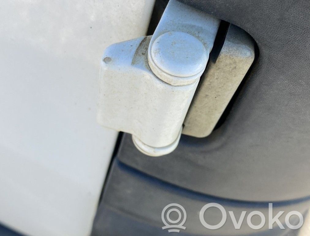 Renault Kangoo II Tailgate/trunk/boot hinge 