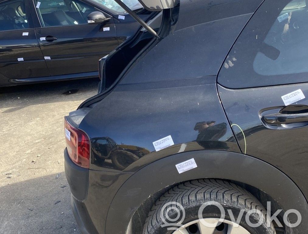 Citroen C4 Cactus Takakulmapaneeli 