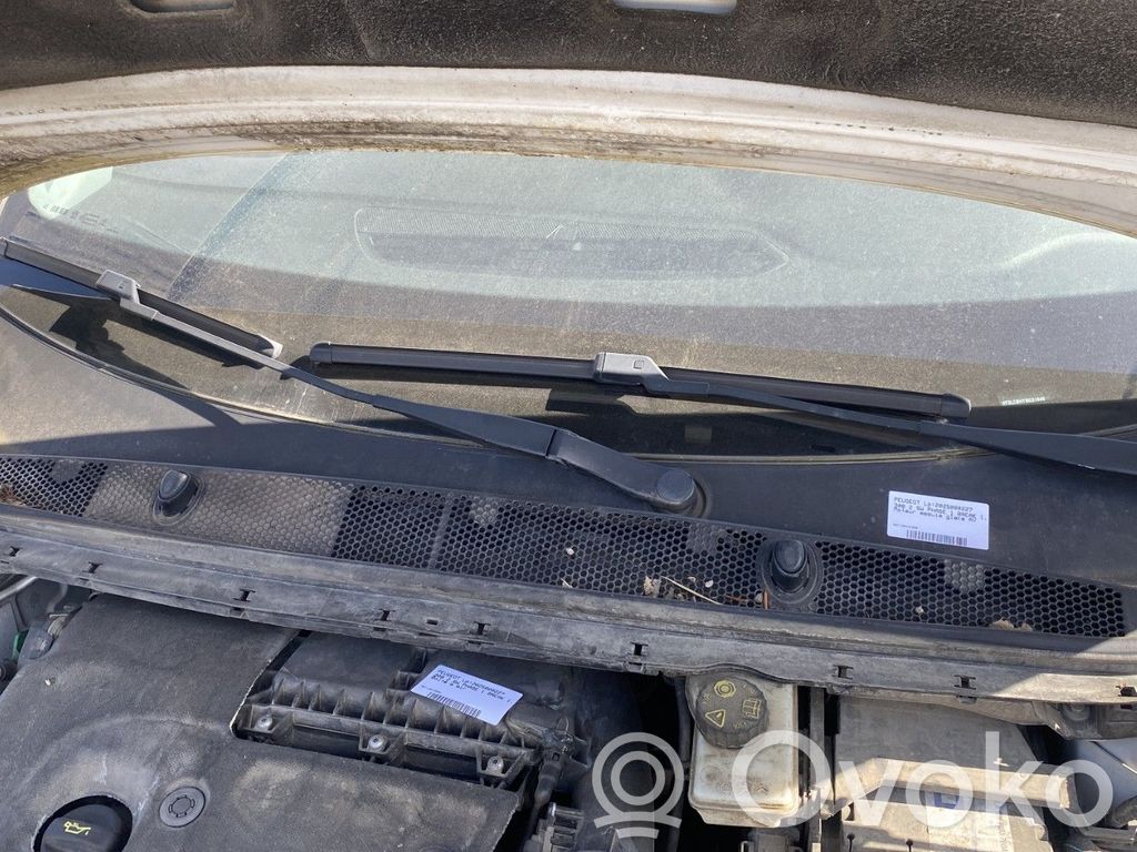 Peugeot 308 Rivestimento del tergicristallo 