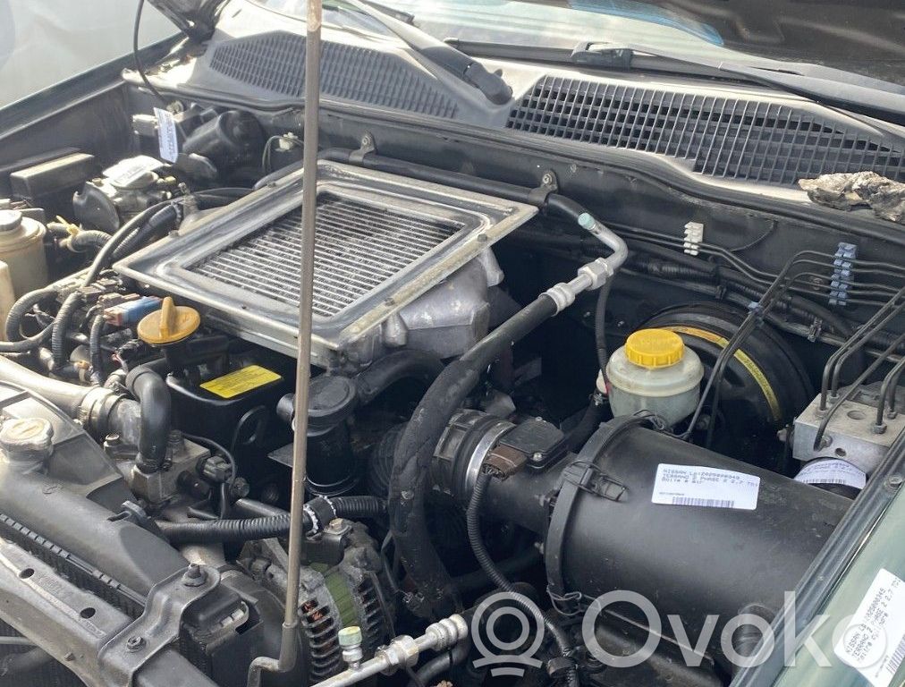 Nissan Terrano Engine control unit/module 