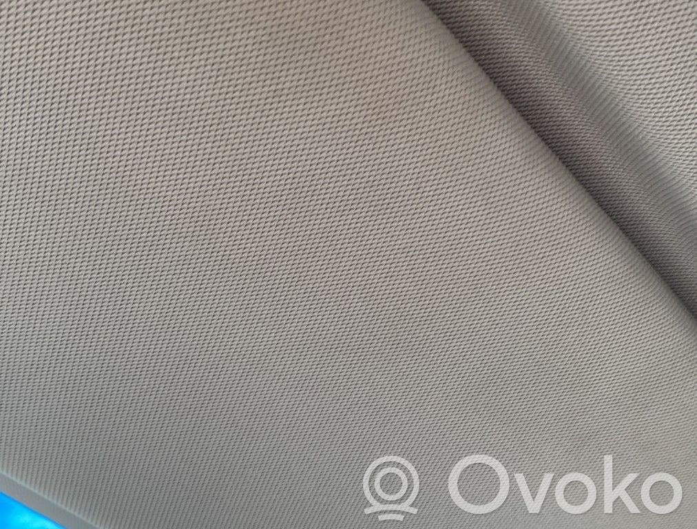 Infiniti QX50 (J50) Parasolar 