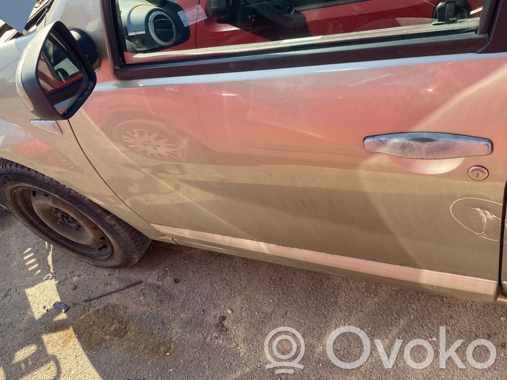Dacia Sandero Tür vorne 