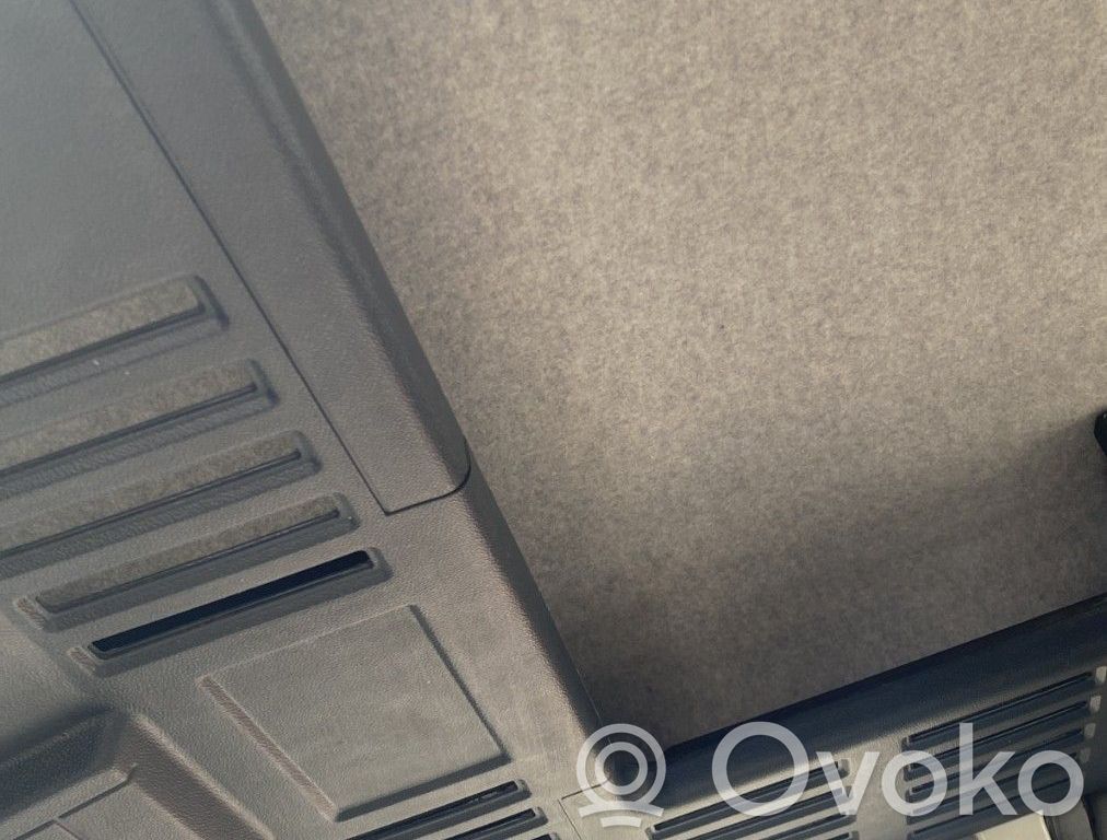 Renault Express Dachhimmel 