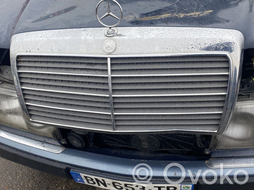 Atrapa chłodnicy / Grill   A1248800783