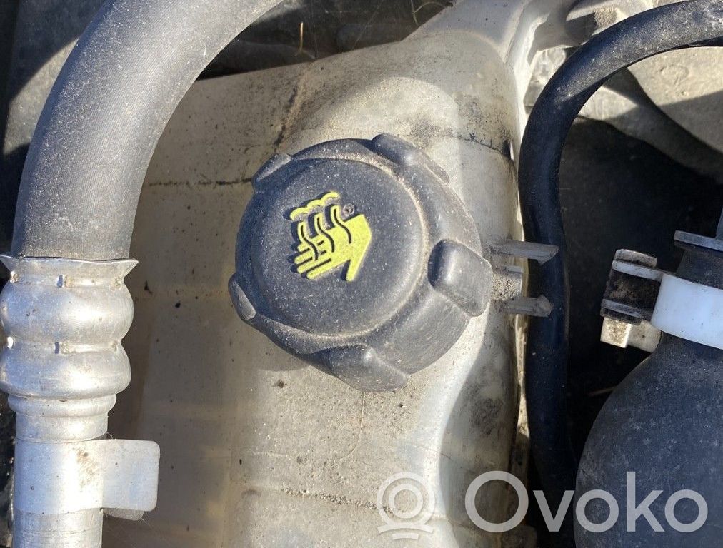 Renault Megane III Serbatoio di compensazione del liquido refrigerante/coperchio