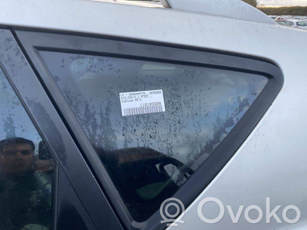 Rear side window