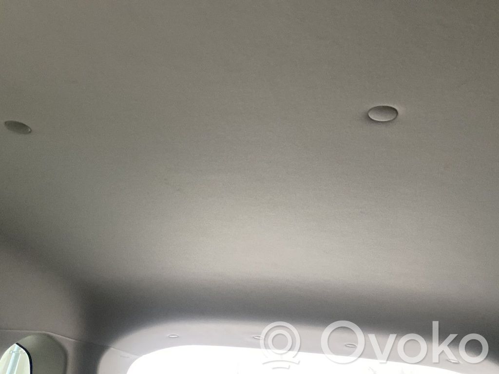 Dachhimmel   73910JY00A