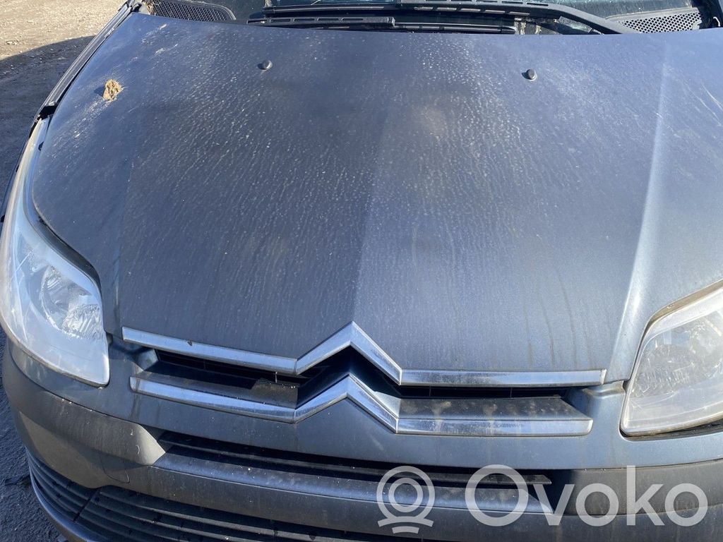Motorhaube   00007901L1