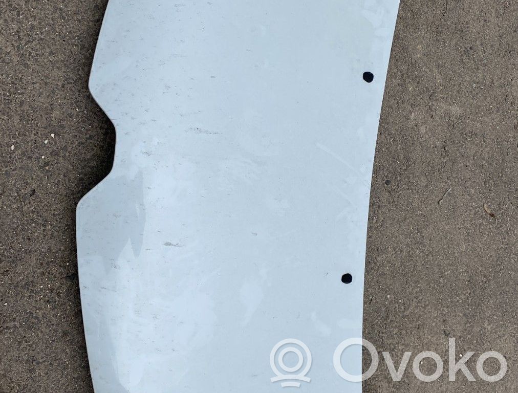 Motorhaube   651006821R