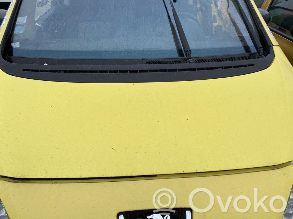 Konepelti   7901Q5