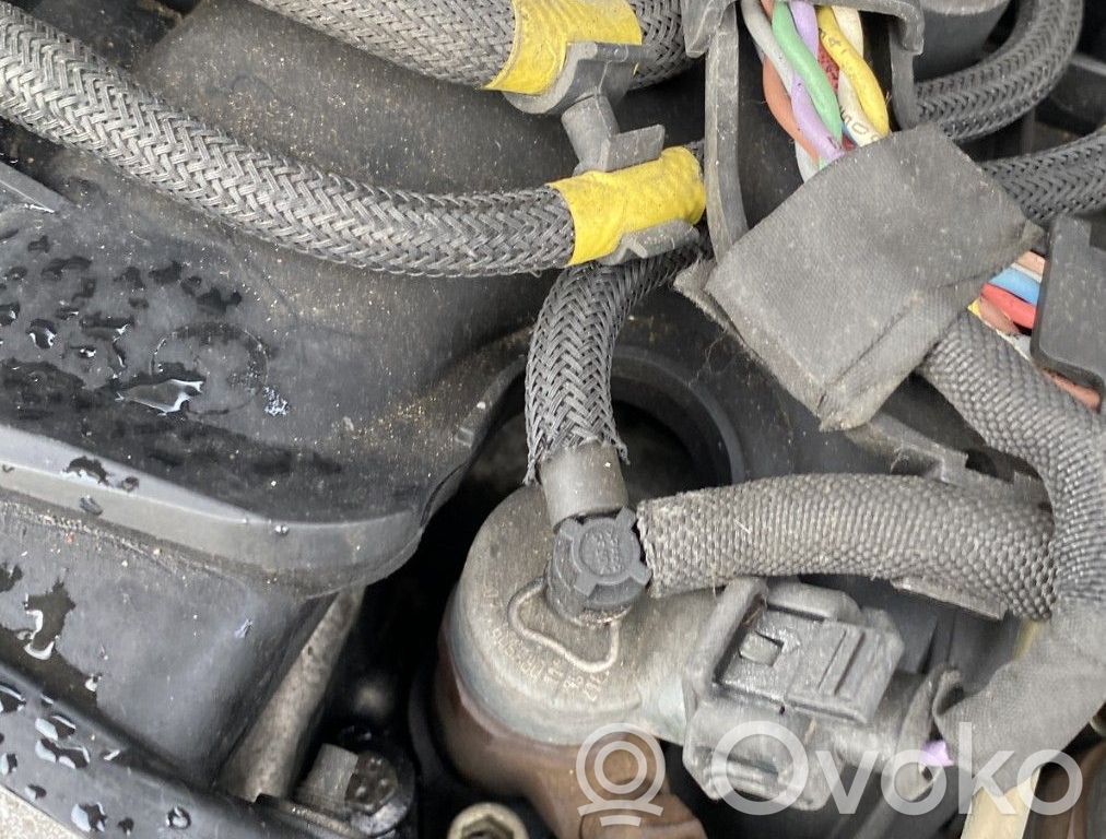 Peugeot 307 Inyector de combustible 