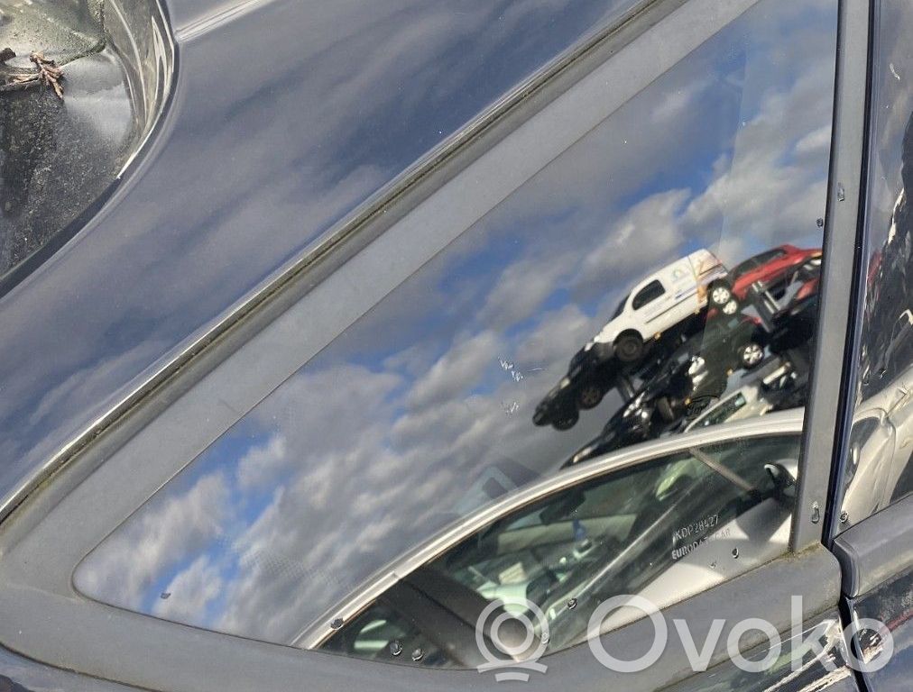 Rear side window   2010627